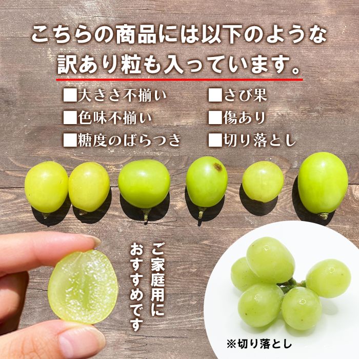 緊急値下げ❗️山梨県産　種無しシャインマスカット5房　1房約500g前後 楽天市場】【送料無料】シャインマスカット 山梨県 長野県産 種