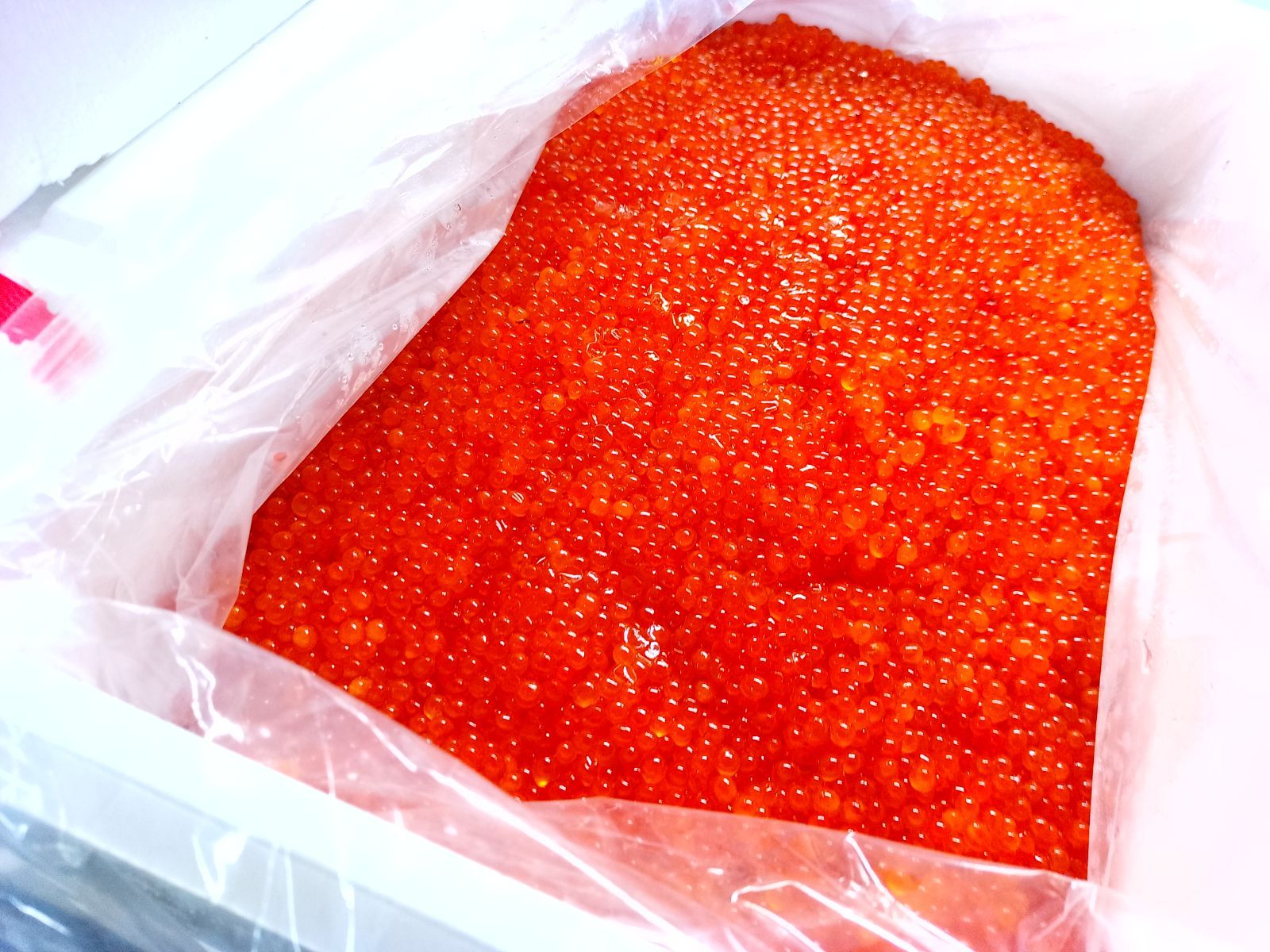 北海道産秋鮭 新物2025 いくら2k 冷凍 生筋子→イクラ