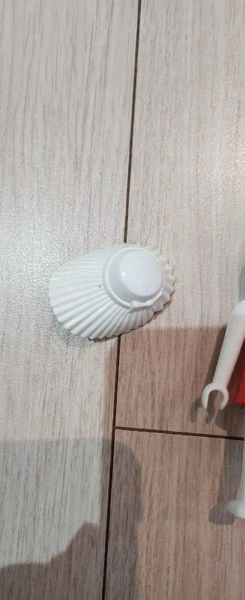 羽ばたき 白い