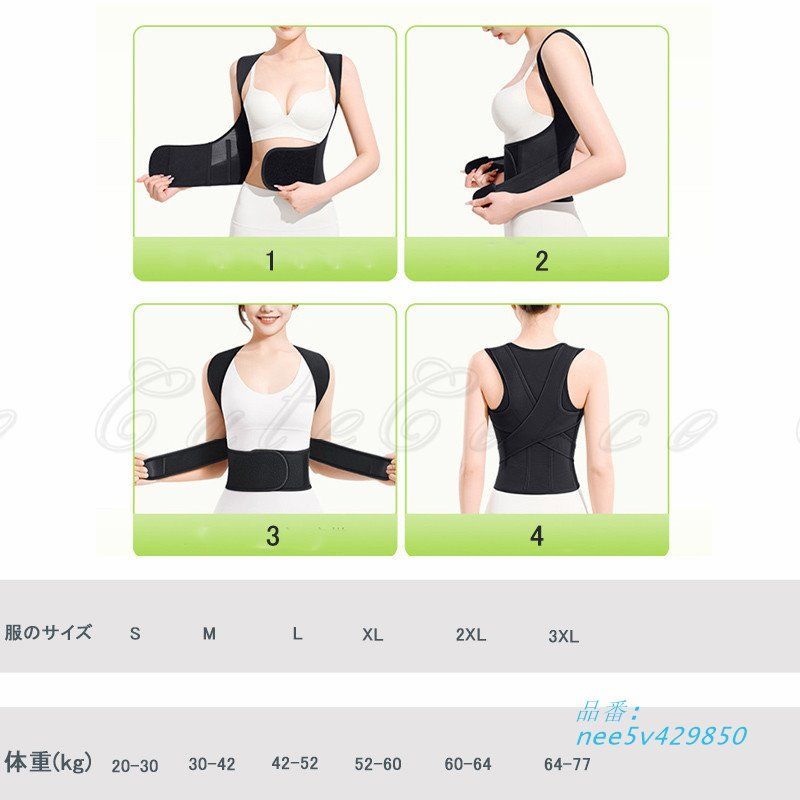 補正ベルト 姿勢ササマジックテープ