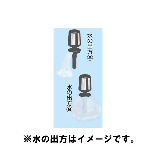タカラ
