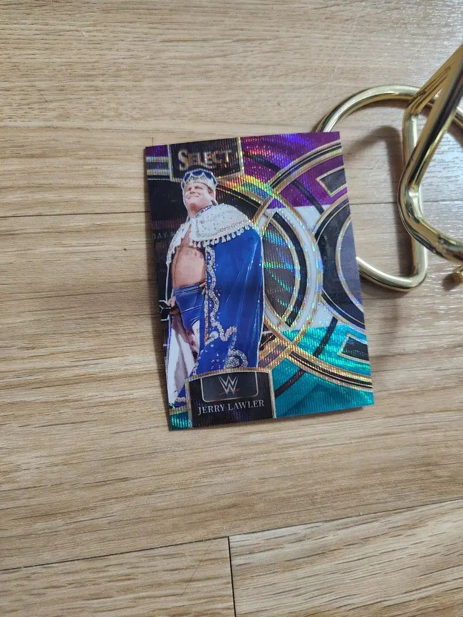 24 Panini パニーニ セレクト wwe ジェリー ローラー シルバープリズム レスリングカード*