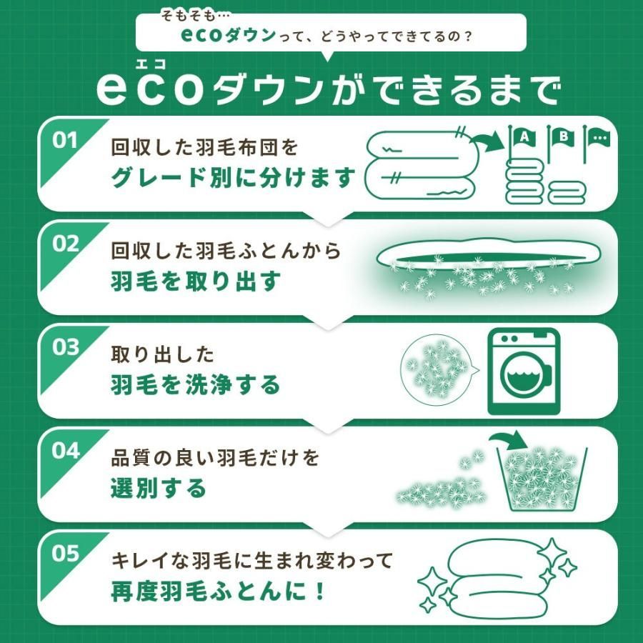 コインランドリーで洗える羽毛布団 シングル 西川 ダウン90％ 0.8kg ecoダウン エコダウン 再生羽毛 合掛け布団 当社 5S-KA05003315 MARWIL-DEMENAGEMENTS_CH