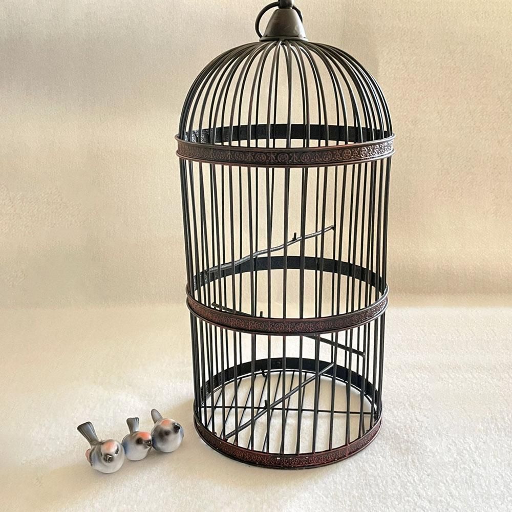 メジロ、ウグイス和鳥籠 メジロ、ウグイス和鳥籠