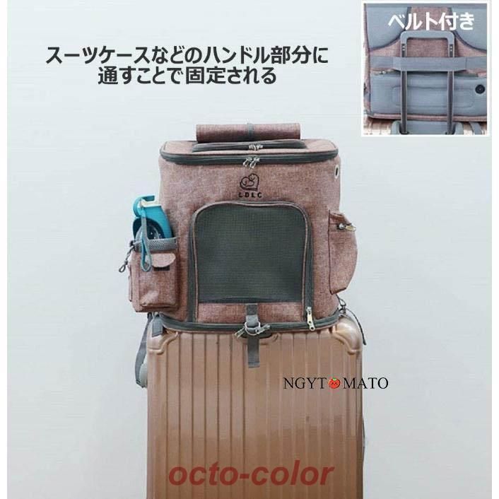 アウトドア お出かけ