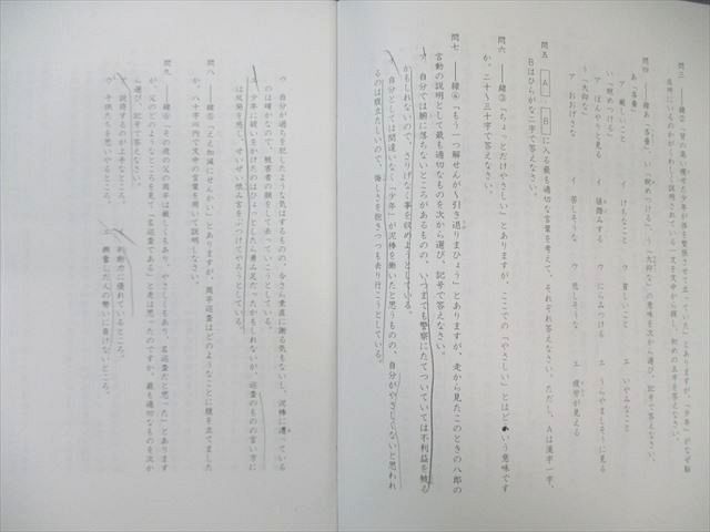 SAPIX 小6 サピックス SS特訓(SSS2Aｰ01～14) 国語 読解力講座