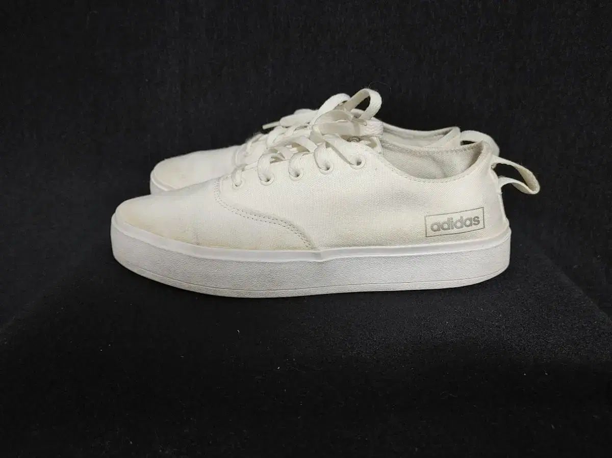 adidas adidas(アディダス) 白 キャンバス 靴