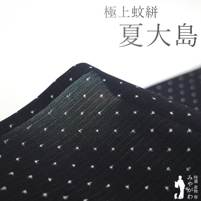 新古品 夏物 夏大島 大島紬 単衣 着物 正絹 黒 蚊絣 夏 カジュアル 夏用 着物 夏着物 夏大島 仕立て上がり 身丈160 裄丈63.5 Ｍサイズ みやがわ sb15897