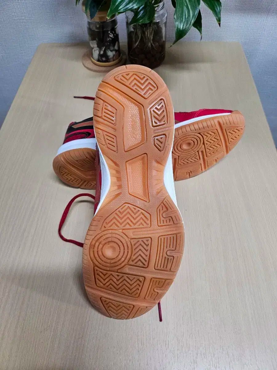 250 新商品
