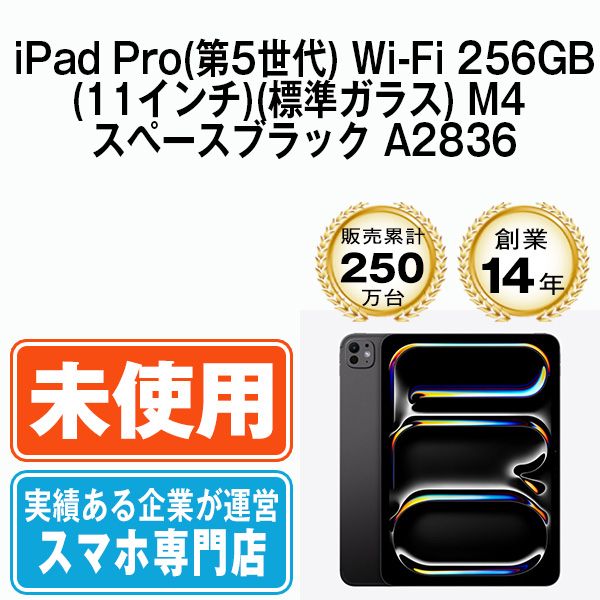 iPad Pro 第5世代 M4・11インチ 256GB Wi-Fi ブラック（iPad Pro