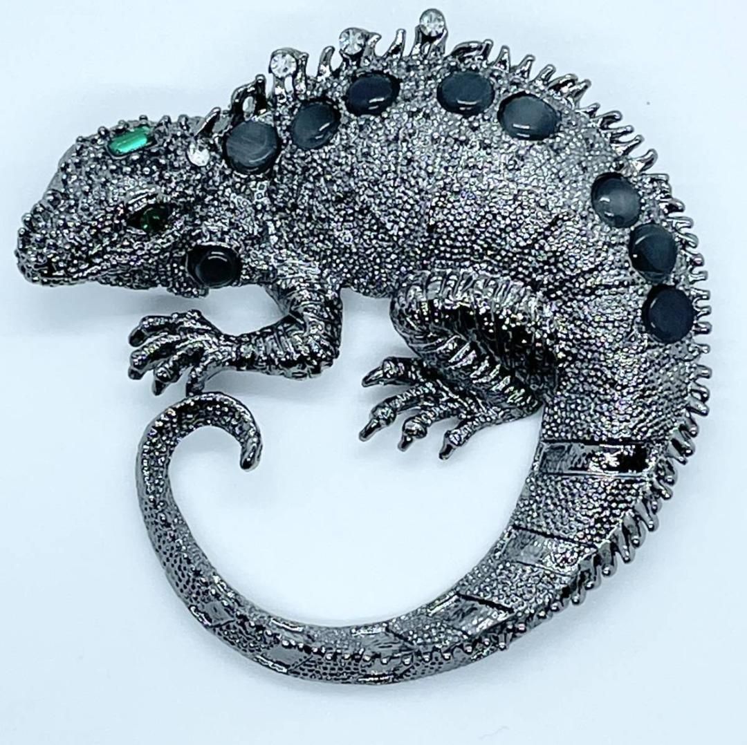 イグアナ　カメレオン　爬虫類 chameleons-346557_960_720.jpg