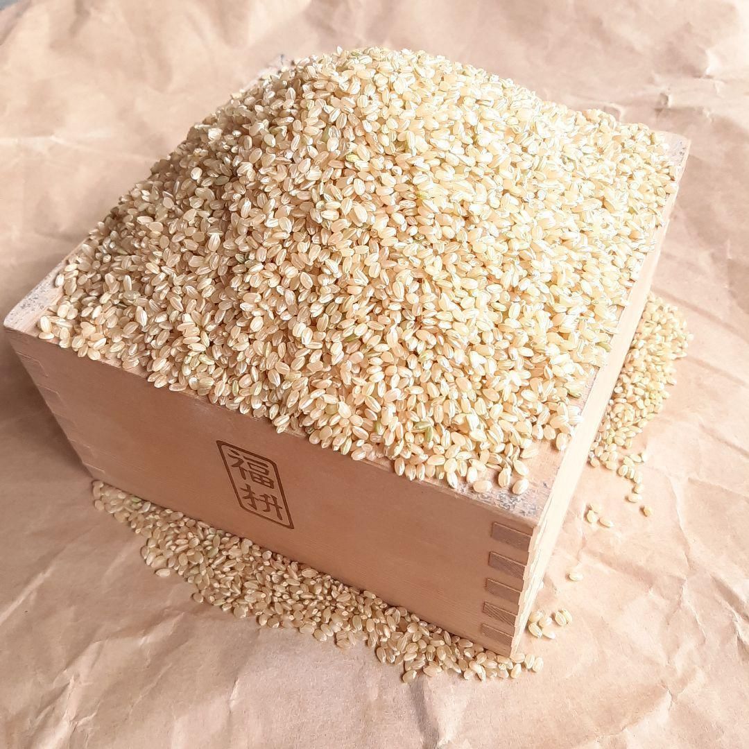玄米限定特価 令和3年産 埼玉県産 キヌヒカリ玄米  30kg 大粒 キヌヒカリ 滋賀県産キヌヒカリ 玄米30Kg 令和6年 1等 : 藤勝