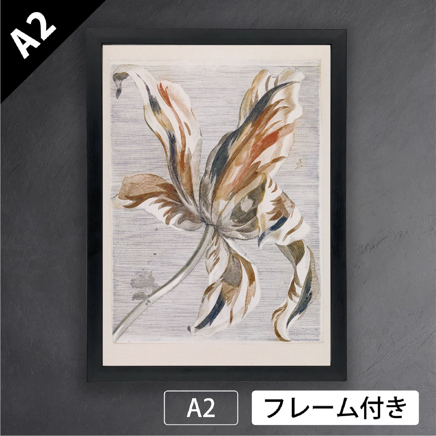 絵画  アートポスター  シャーリーフェルッ  チューリップ 絵画 アートポスター シャーリーフェルッ チューリップ