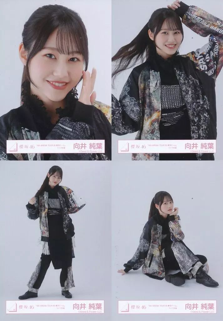 中古】生写真(乃木坂46) ◇櫻坂46/向井純葉/櫻坂46ランダム生