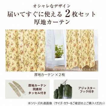 カーテン カールス 2P 100X200 IV 725861000200061