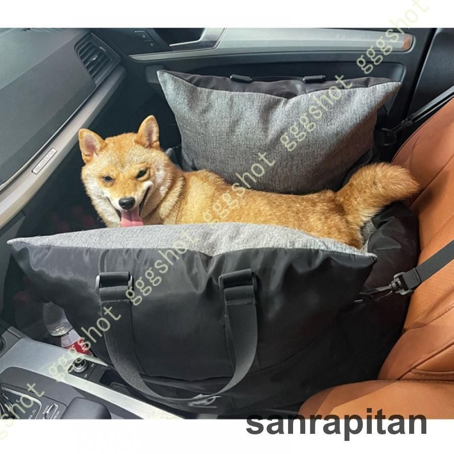 中型犬