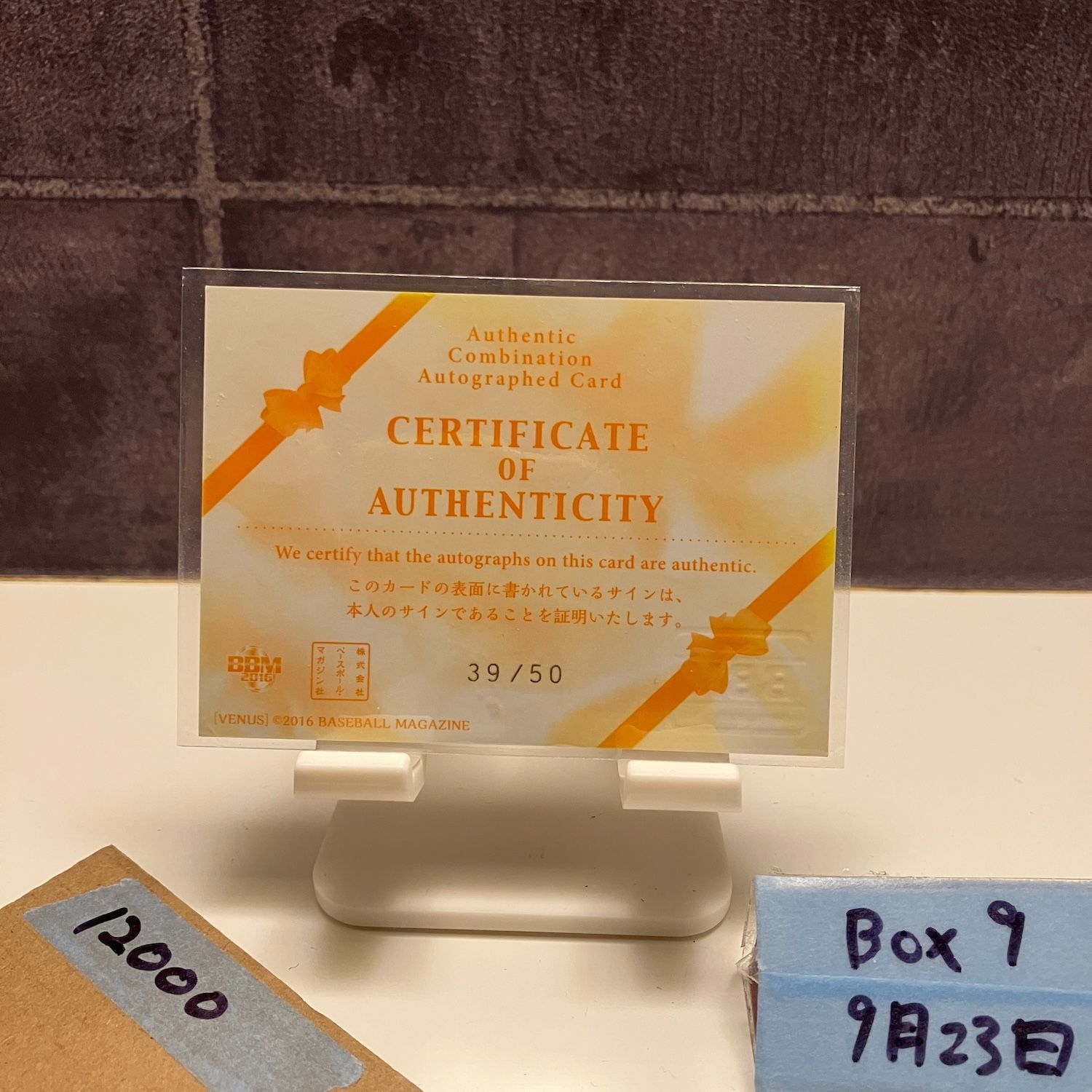 読売ジャイアンツ VENUS