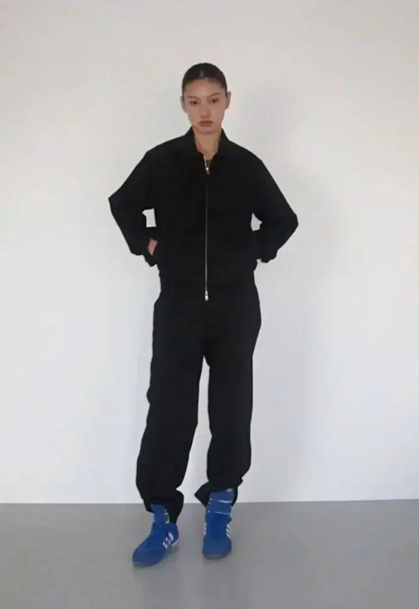 日本画家 郷倉千靱絵付 染付 梟図 飾皿 絵皿 共箱 F R6056B 日本画家