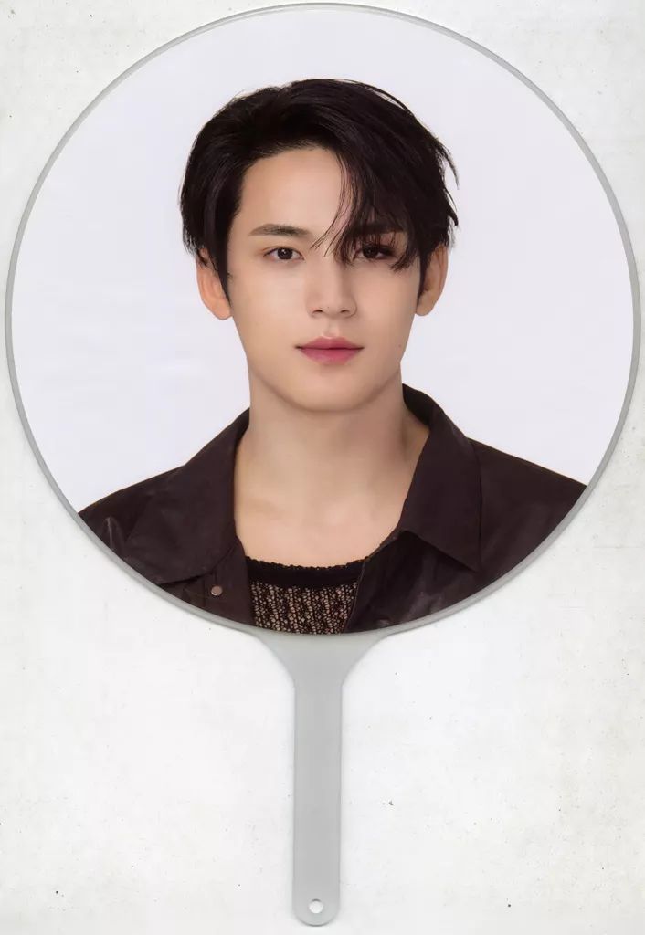 SEVENTEEN New ミンギュ うちわ 仁川 SEVENTEEN セブチ ミンギュ