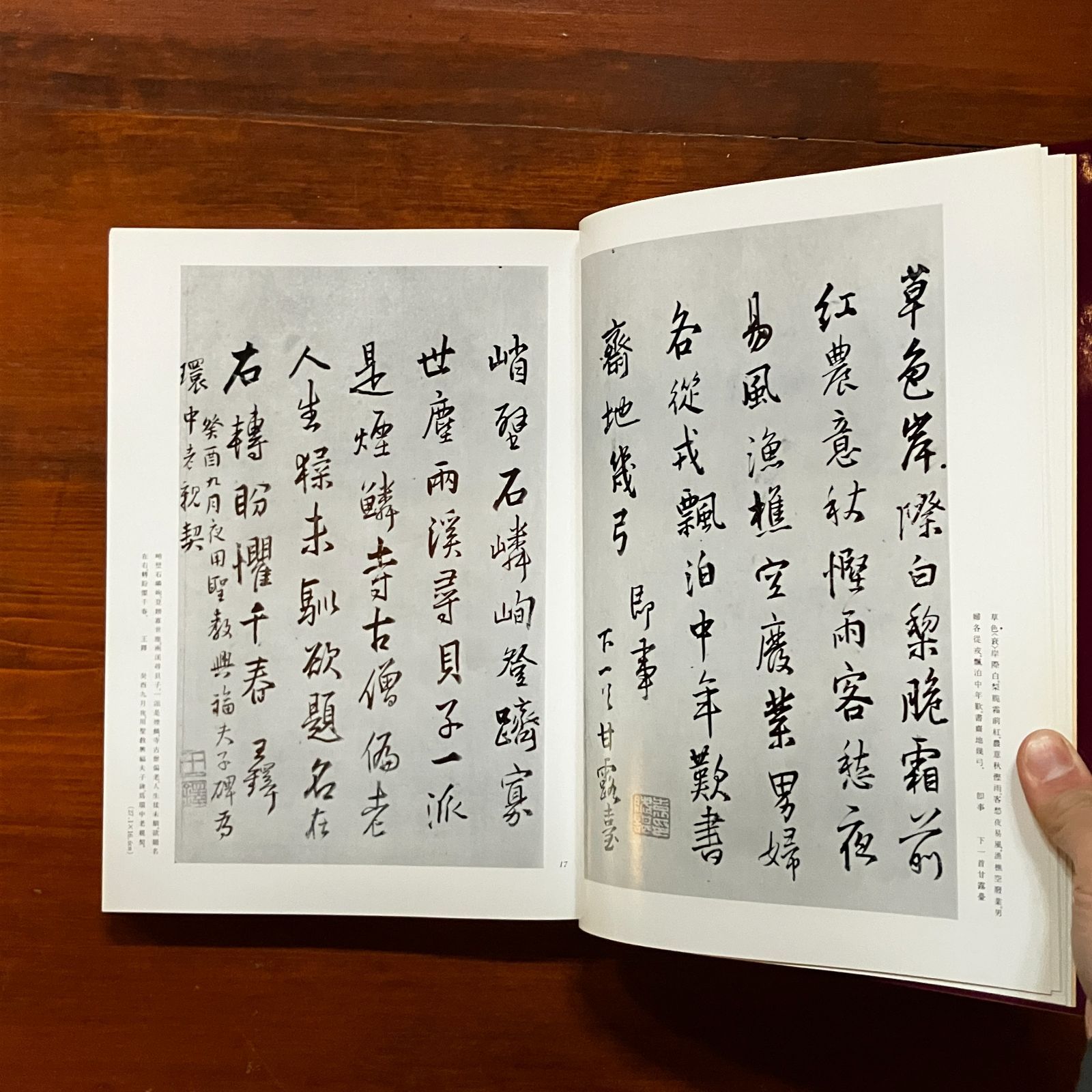 王鐸の書法 全5冊揃い（巻子篇1・2、冊篇、篠