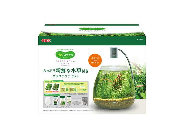 Megreen 新鮮な水草付き グラスアクア ティア―セット 小さな生態系づくりを楽しむ 観賞魚用品 水槽 セット水槽 GEX 送料無料