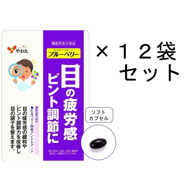 やわた 北の国から届いた ブルーベリー 30日分 12袋セット 機能性表示食品 ビルベリー アントシアニン 目 サプリ 眼精疲労