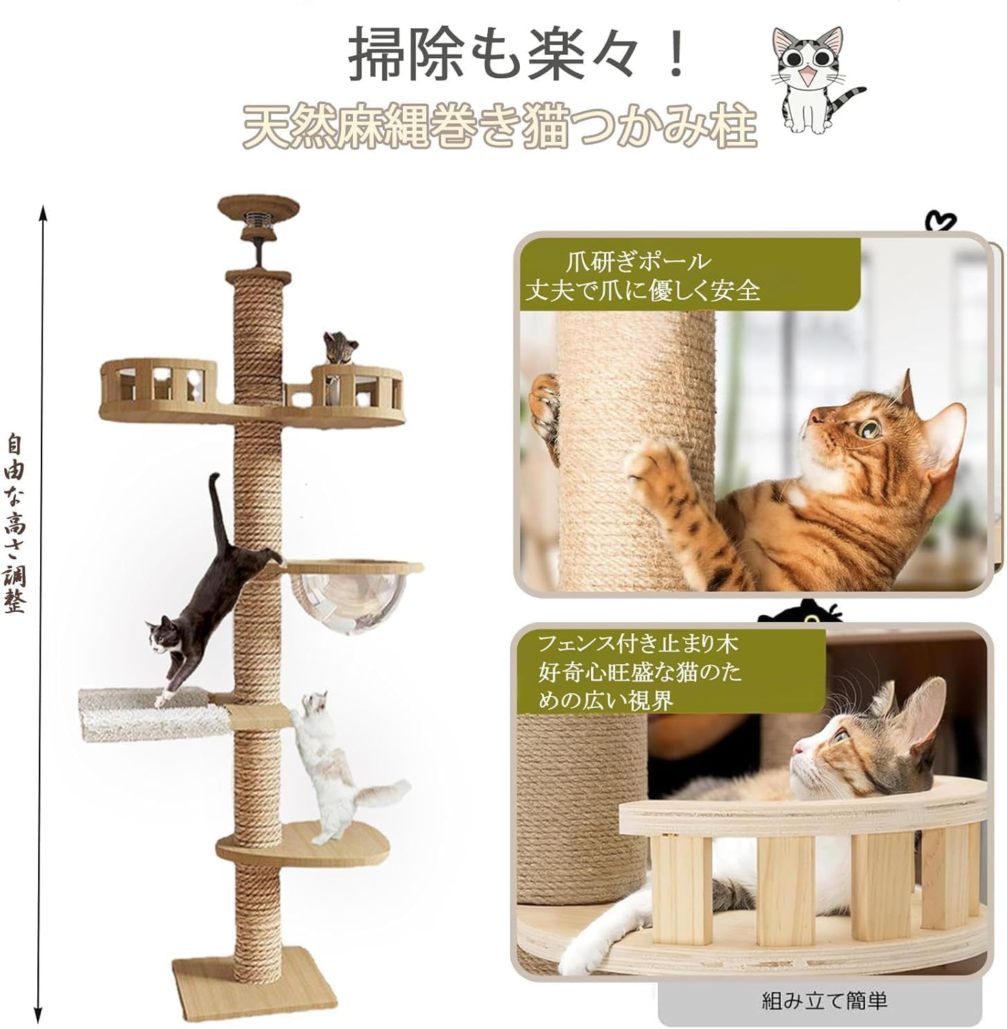 シニア