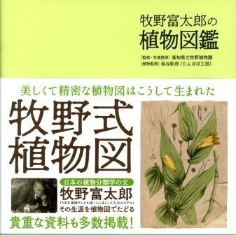【中古】 牧野富太郎 中古 牧野富太郎の植物図鑑 - メルカリ