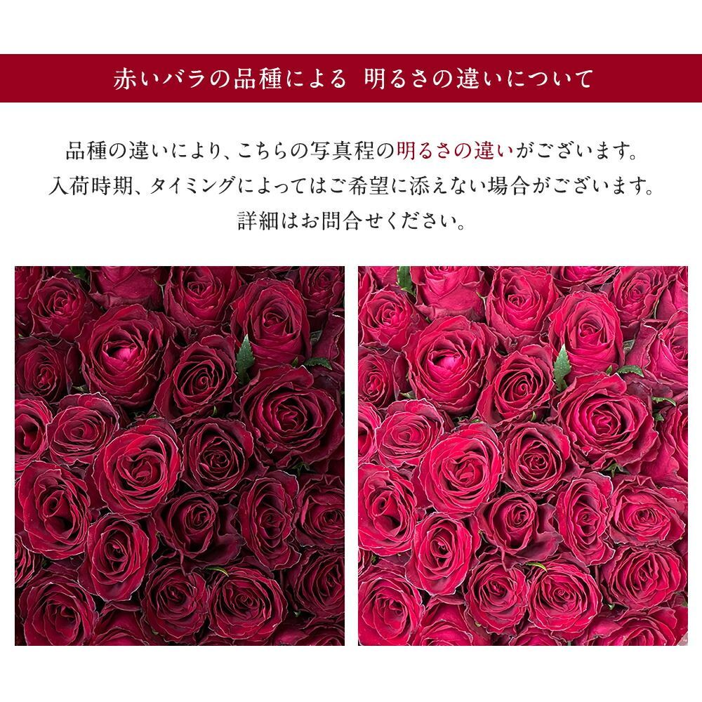 銀座の赤バラ アレンジメント 100本 薔薇 季節の花束 土日も出荷 薔薇