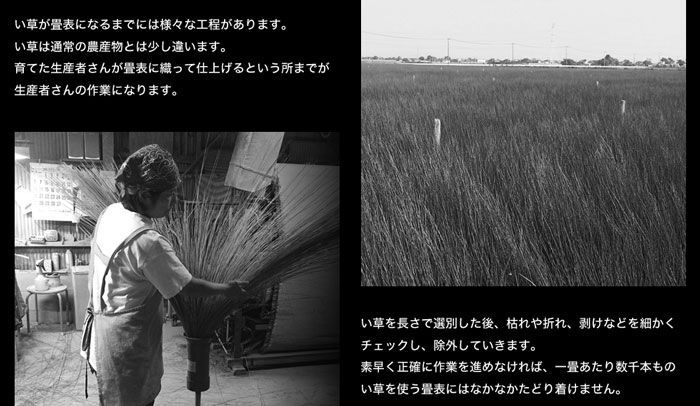 佐賀県産