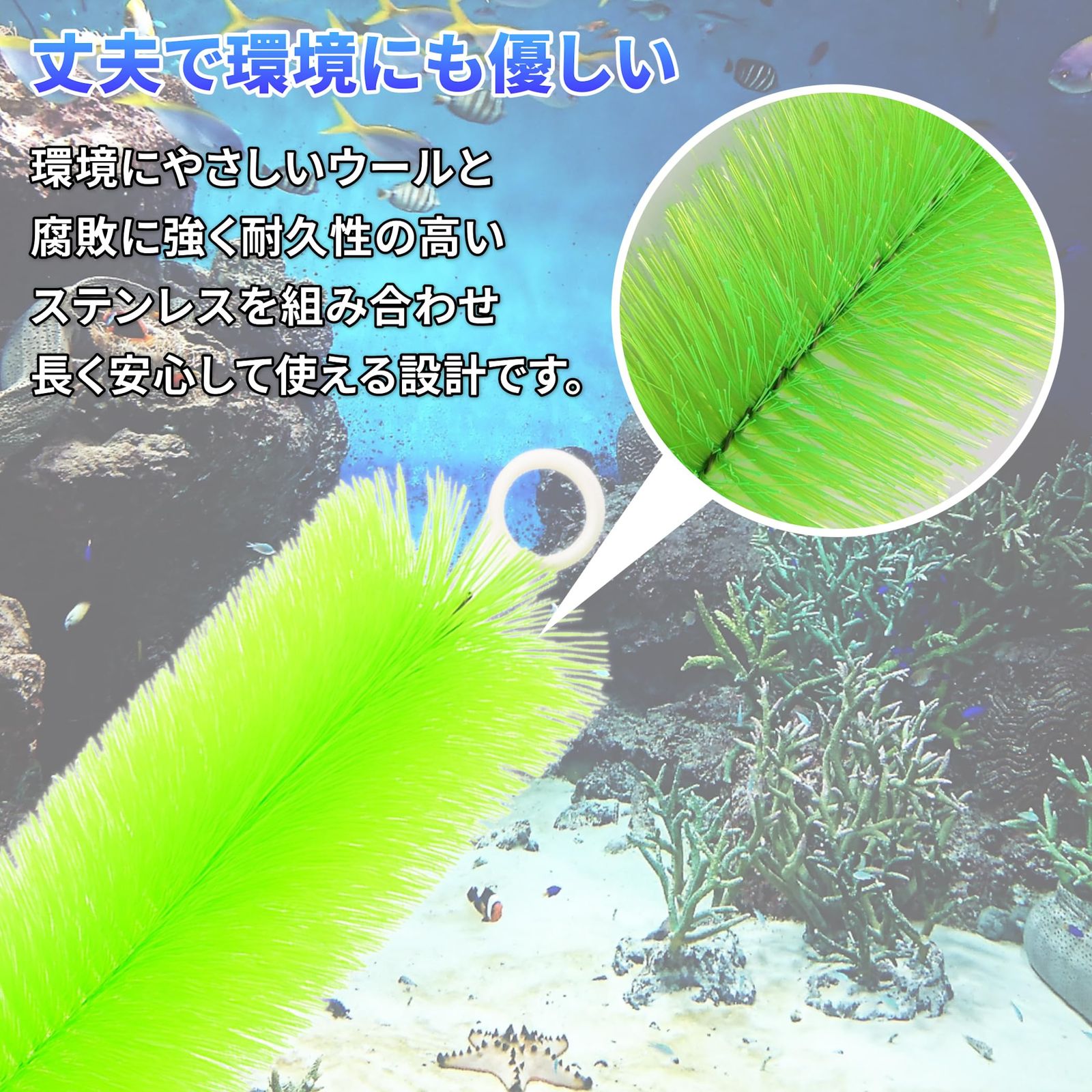汚れ除去 50cm
