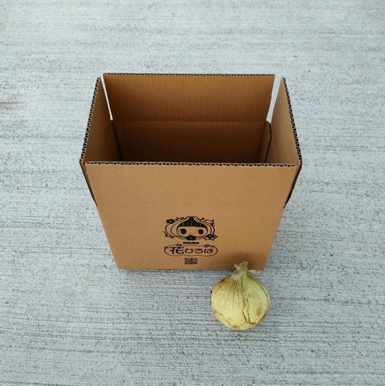 淡路島産玉葱 2.5kg 露地栽培 サラダたまねぎタマネギ玉ねぎオニオンサラダ-5