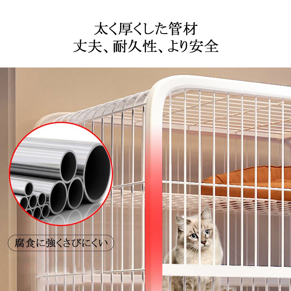 保護