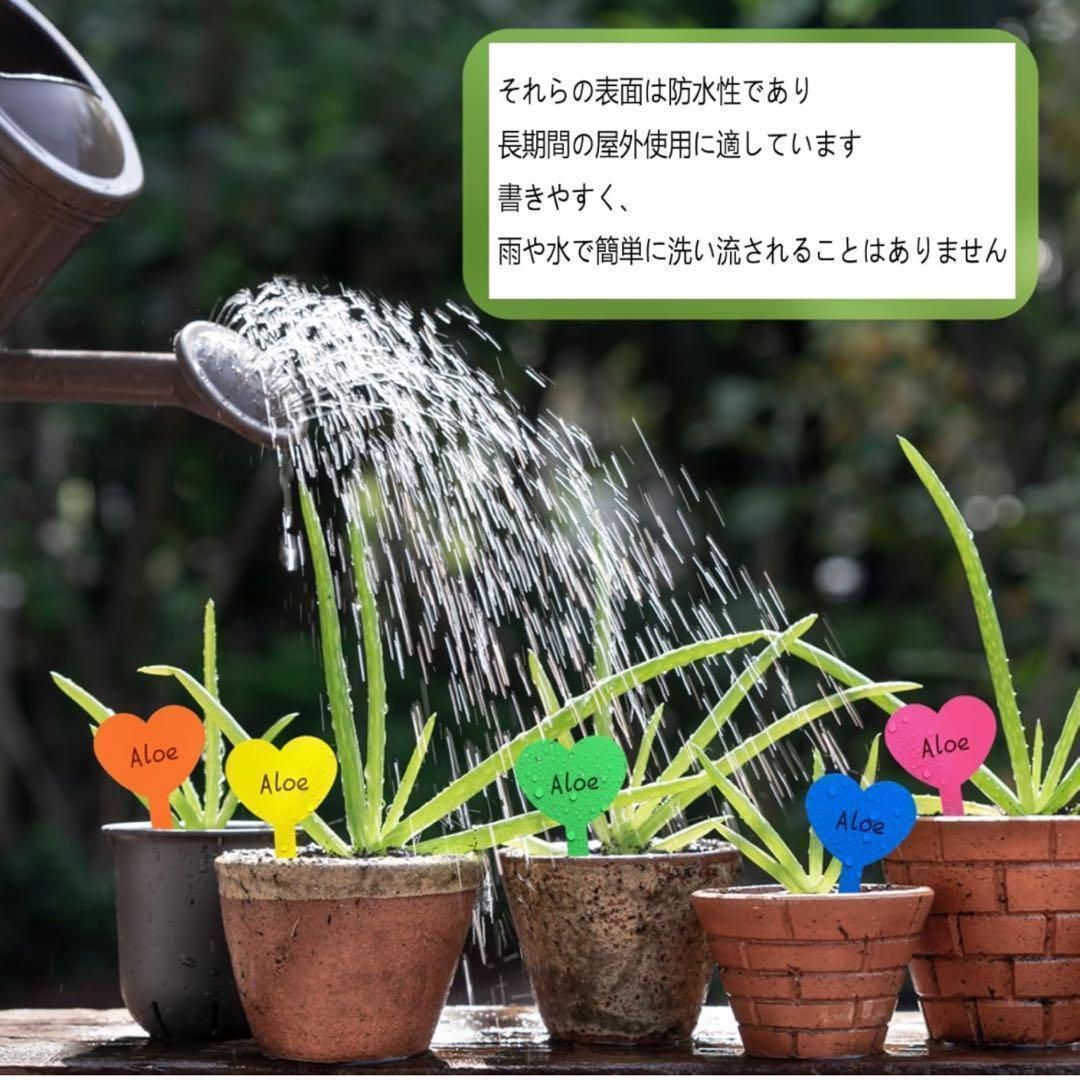 植物ラベル