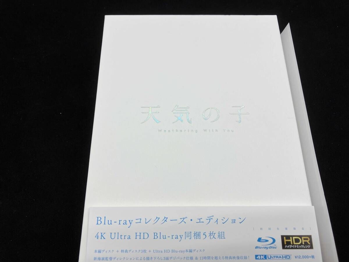 澤野井嘉瑞作 せかいにひとつだけのねこ人形 抱っこが出来るネコ
