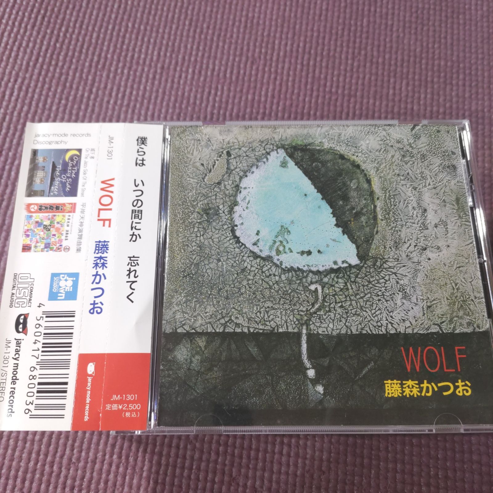 札幌中心に全国でライブ活動シンガーソングライター藤森かつおアルバム WOLF
