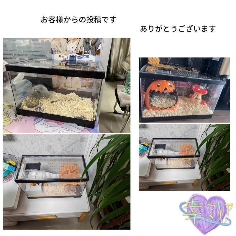 小動物用