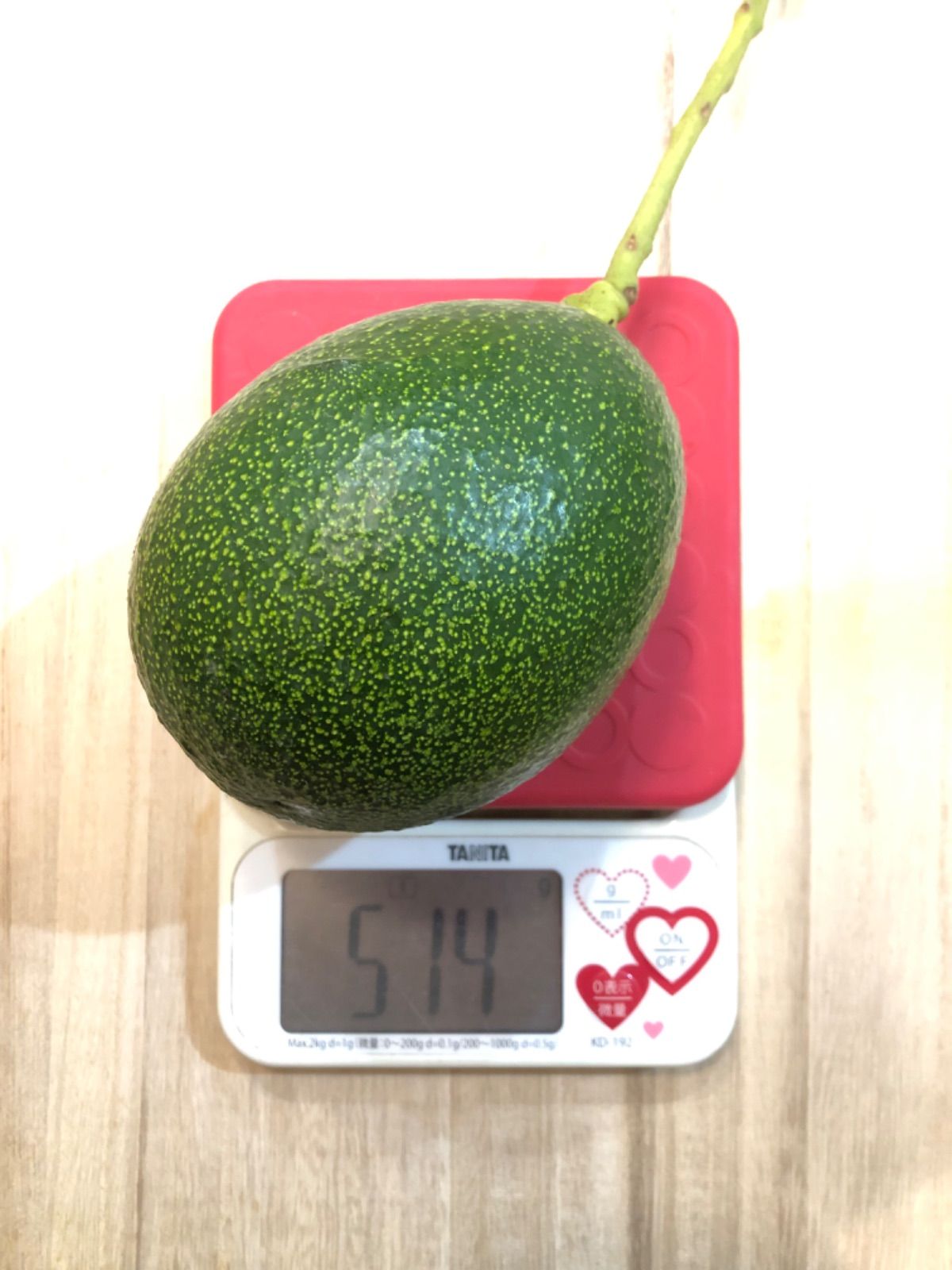 小ぶり・傷物＊国産アボカド【フェルテ/ピンカートン】(管理番号：3213)