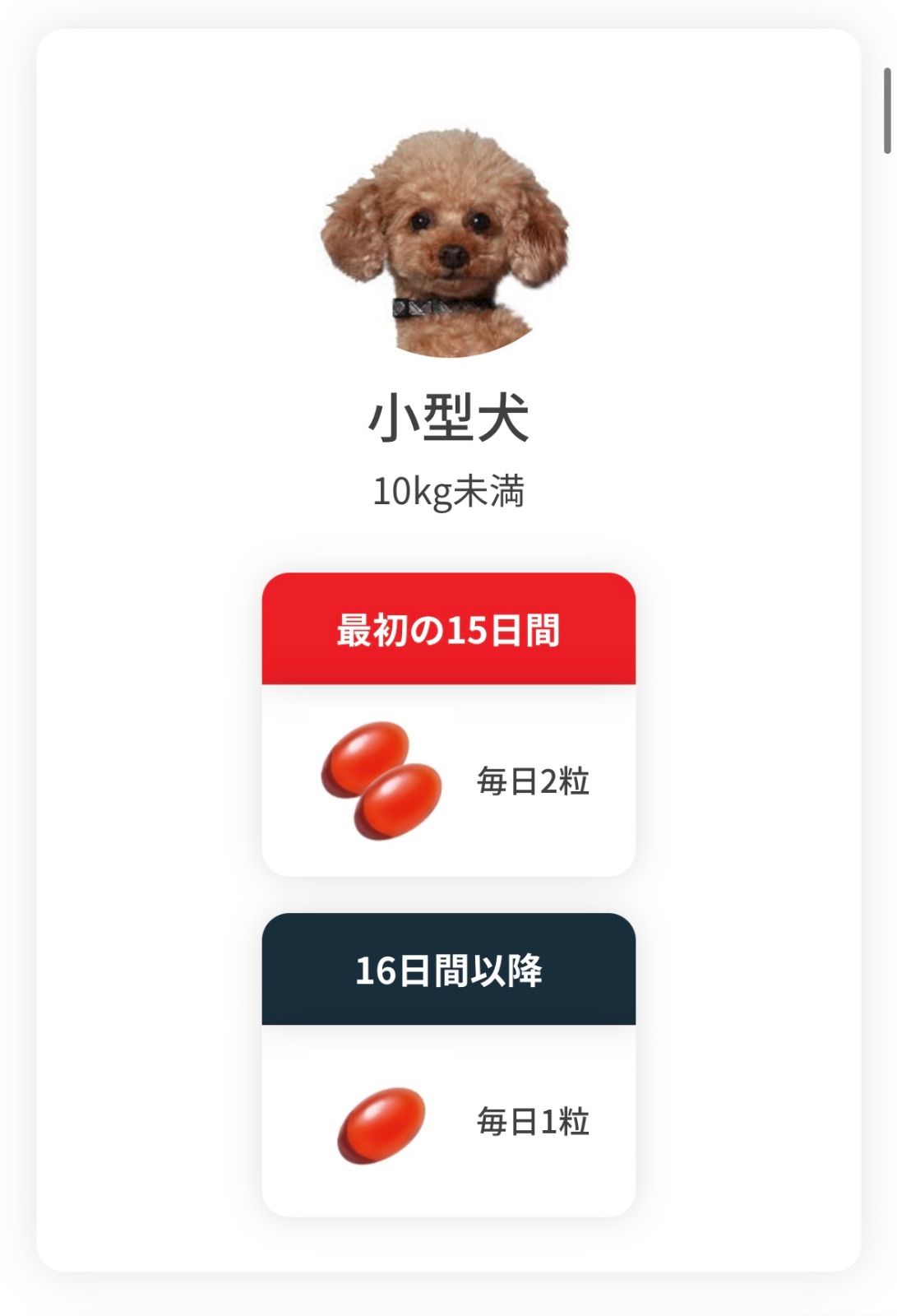 アンチノールプラス犬用( 60粒) ×4箱 - メルカリ