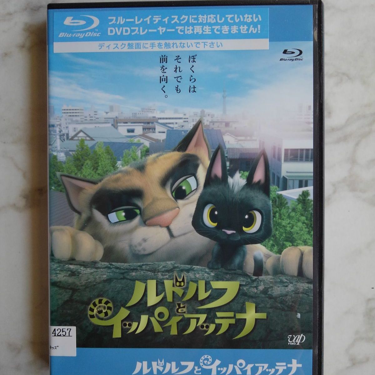 2021春夏新作】 ルドルフとイッパイアッテナ スペシャル エディション