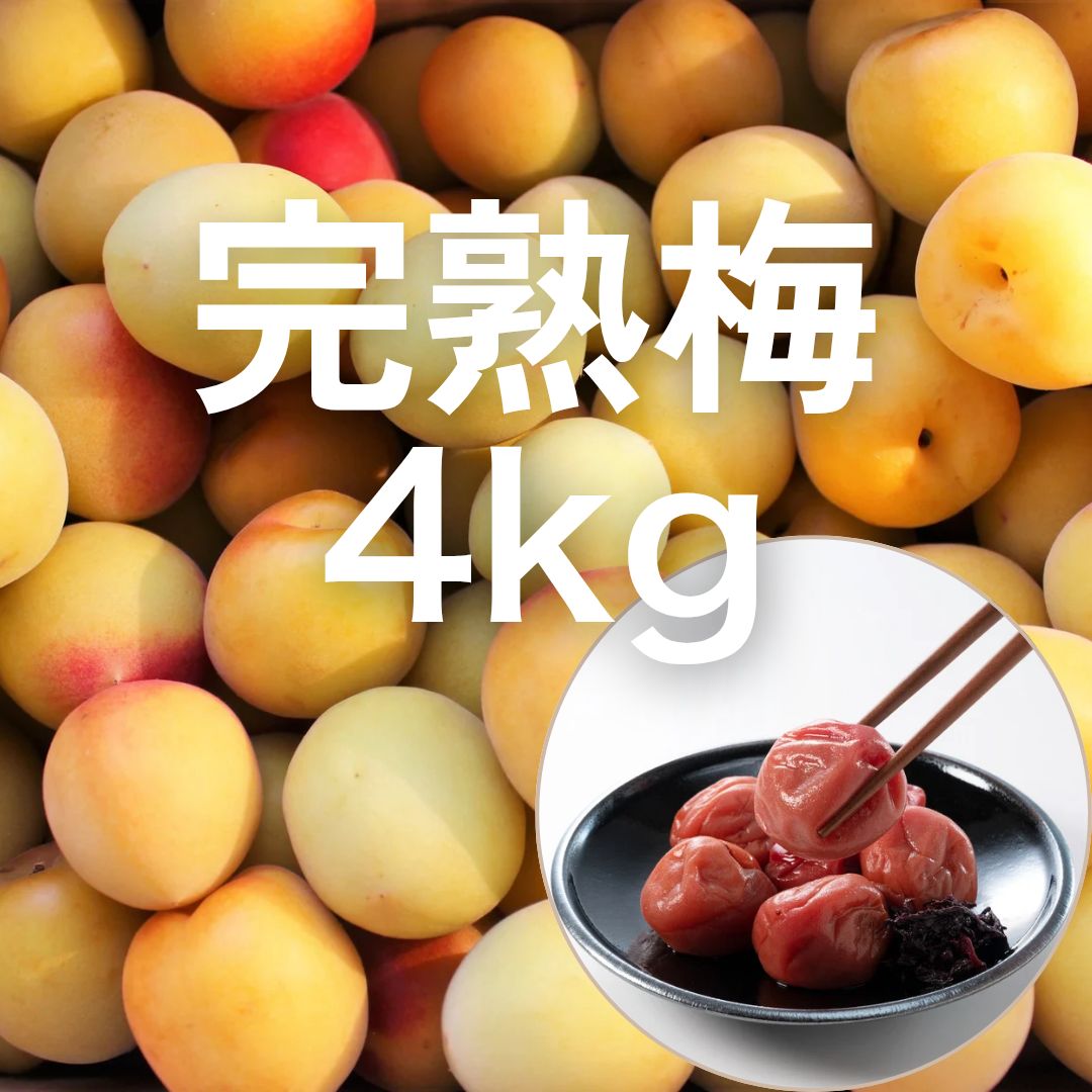 kmy様　山梨県産　樹成り中熟~完熟　白加賀梅　10kg　青梅 終了 5922eb86c7d0d1d060e6aeb35ac981