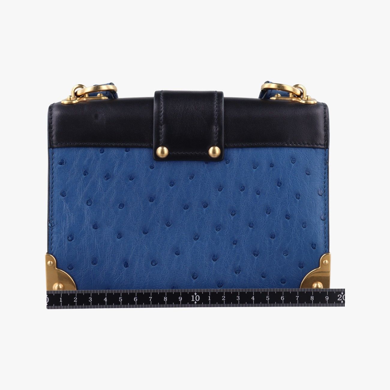 プラダPradaシティ ダチョウ カイエ コバルトブルー×ブラックレザー25