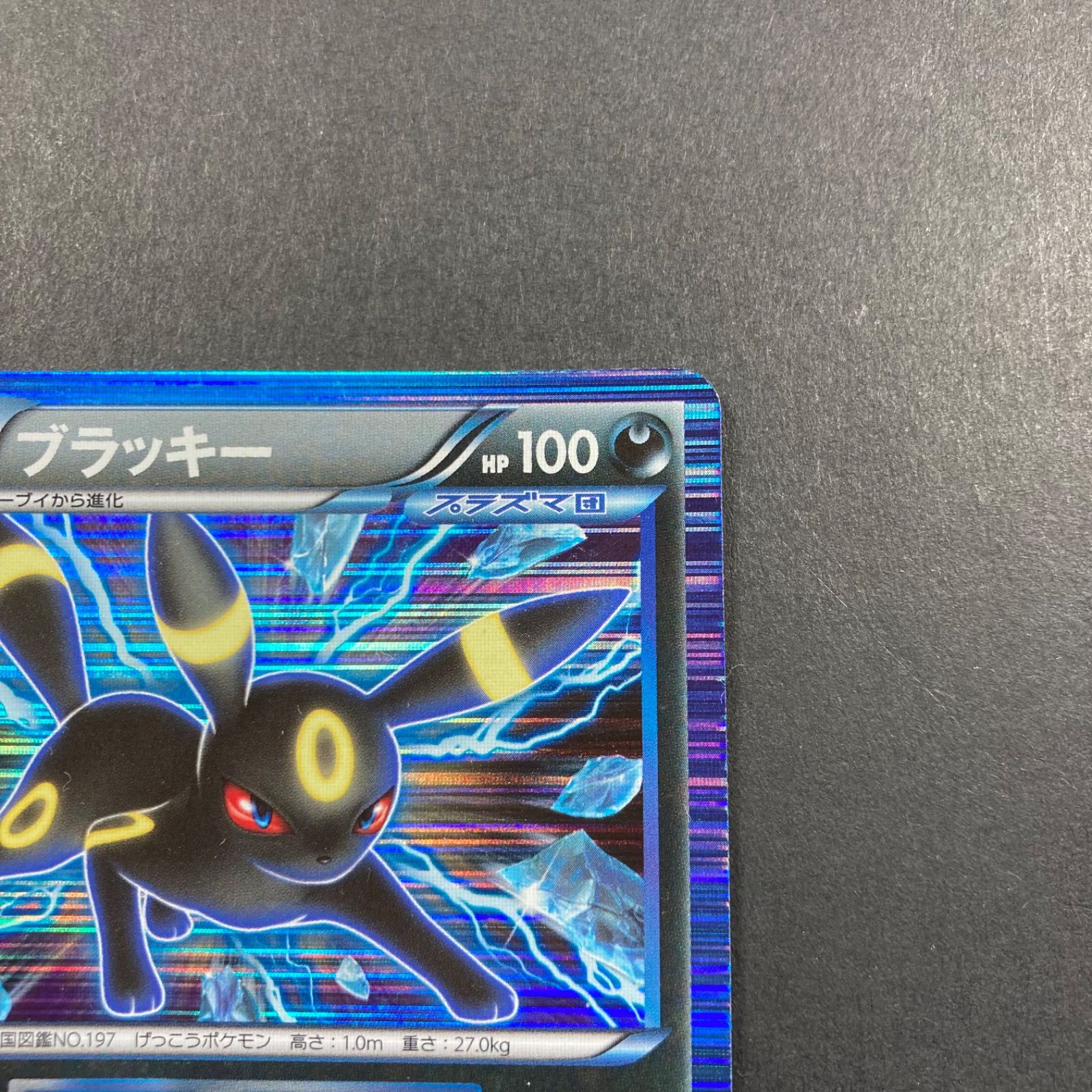 大切な人へのギフト探し ブラッキー メルカリ - 031/051 1ED BW8 ポケモンカードゲーム