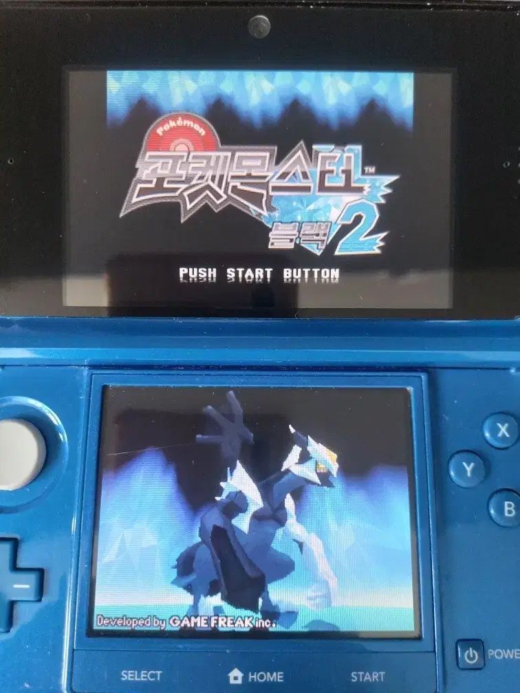 任天堂 DS ポケモン ブラック 2 アルチップ