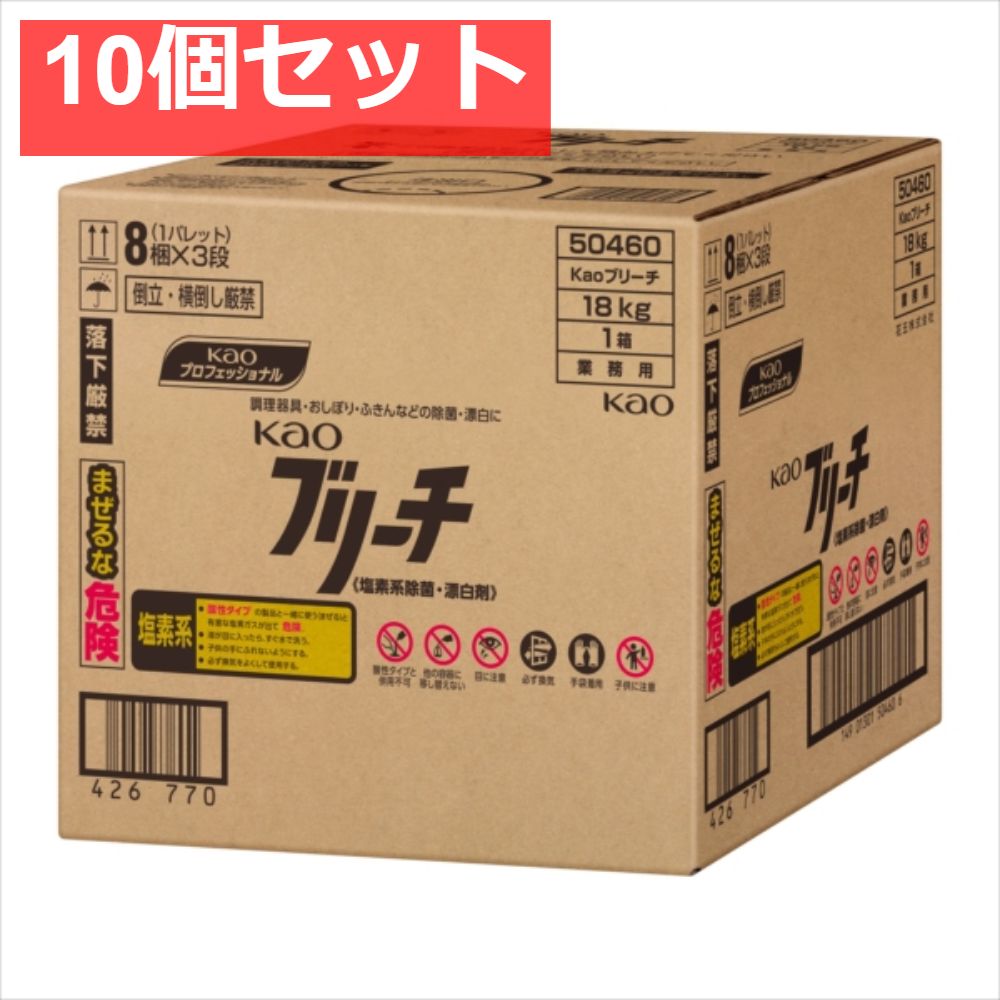 花王ブリーチ業務用18KGバッグインボックスタイプ 10個セット