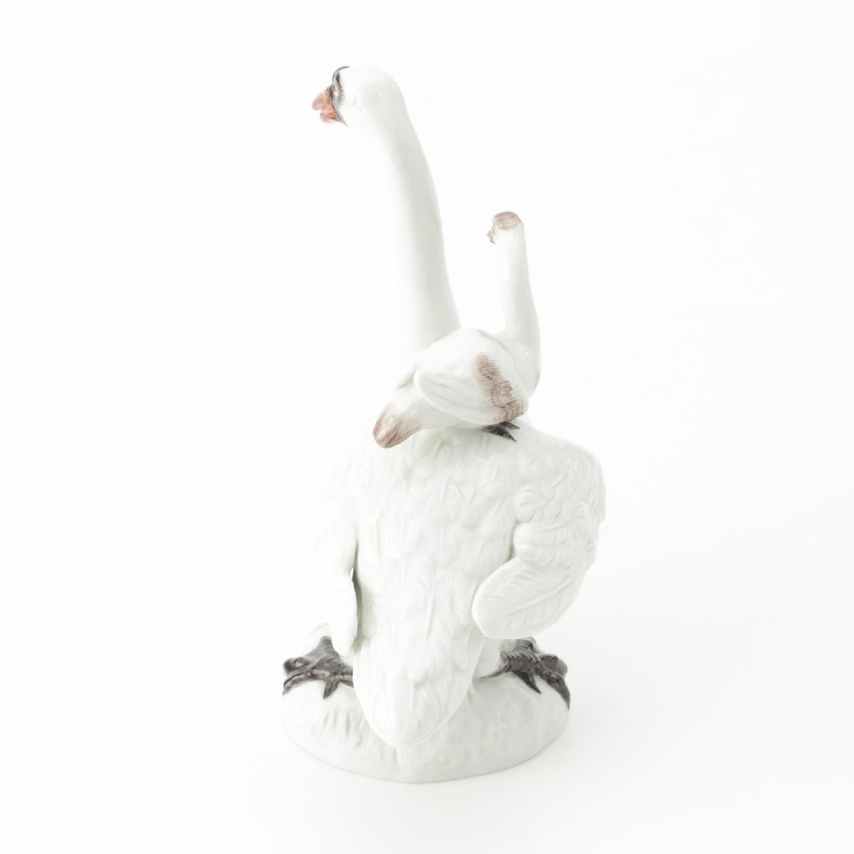 白鳥 親子