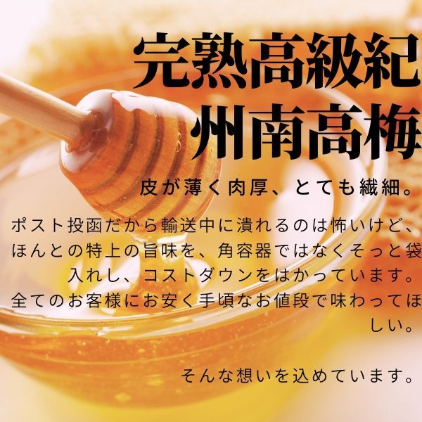 のサムネイル
