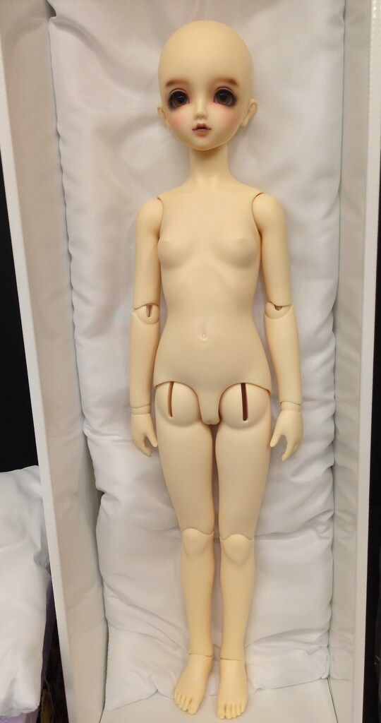 ボークス SD女の子