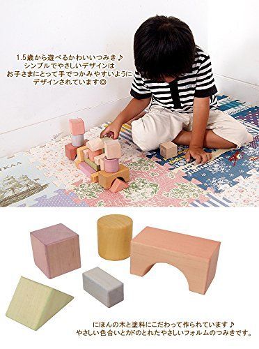 NIHONシリーズ つみきのいえ