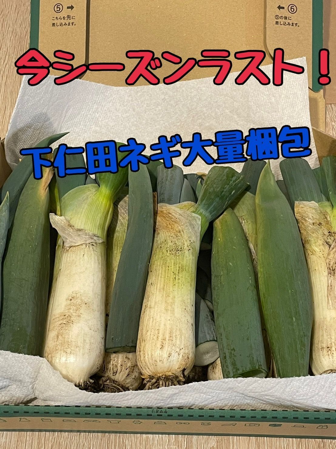 新鮮野菜】【減農薬】下仁田ねぎ サイズミックス - メルカリ